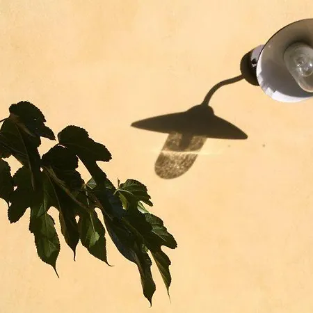 La Guetteuse Nyaraló Hyères