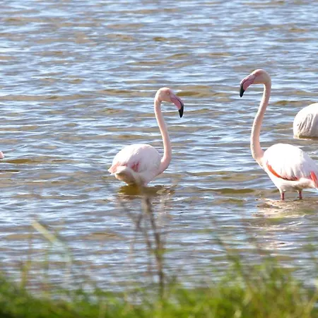 בית נופש La Guetteuse *
